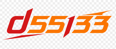 d55133